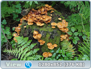 0_d4bc0_c744b1b6_orig.png