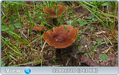 0_ead64_70aa2874_orig.png
