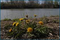0_cc982_da8ca441_orig.jpg