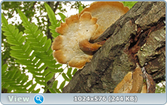 0_e7833_64675c4_orig.png