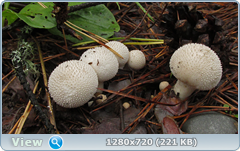 0_ead26_f33e365b_orig.png