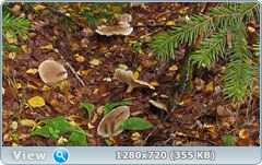0_f27da_fb35ae67_orig.png