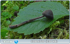 0_fb754_76745197_orig.png