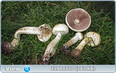 0_e9b45_c867ba6f_orig.png
