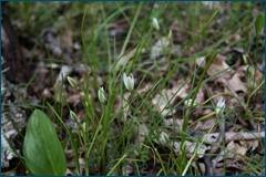 0_ccea9_d29c0796_orig.jpg