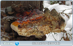 0_fa657_d763092e_orig.png