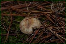 0_c71bd_b269d119_orig.jpg