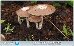 0_e667d_dd817d84_orig.png
