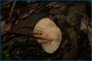 0_d241c_bf0df078_orig.jpg