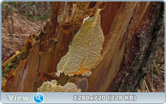 0_f5a0c_fe6ebb_orig.png