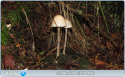 0_e38be_3843791e_orig.png