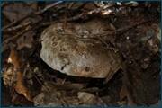 0_d2446_c728588d_orig.jpg