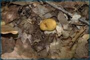 0_d2545_9e9ace75_orig.jpg