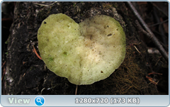 0_f59fb_127e869f_orig.png