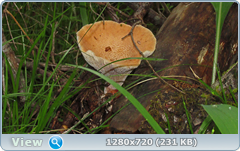0_e6bb3_b3c608e_orig.png