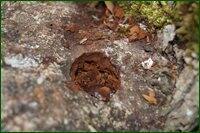 0_c6ae4_b9077927_orig.jpg