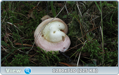 0_edac3_ec769a68_orig.png