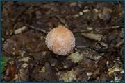 0_d2a28_3883f85_orig.jpg