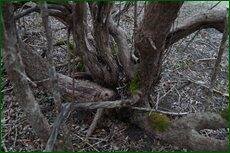 0_c71a5_9785a9c3_orig.jpg
