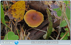 0_f306f_84ae61c2_orig.png
