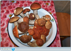 0_f3e69_12af7064_orig.png