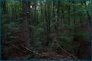 0_d2368_26752eb1_orig.jpg