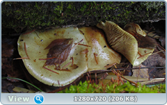 0_f380e_f0de3a60_orig.png