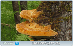 0_e7841_bc3075d_orig.png
