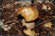0_d23c6_69e97798_orig.jpg