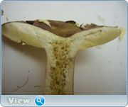 0_130541_ee8a38ae_orig.png