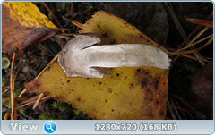 0_f2786_d9be608e_orig.png