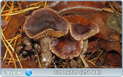 0_f280e_4b6ce8c2_orig.png