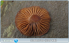 0_f2812_3905a039_orig.png