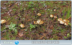 0_ea787_820570cd_orig.png