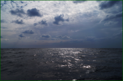 0_d984a_50b8cf60_orig.png
