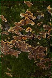 0_c7139_32371e22_orig.jpg