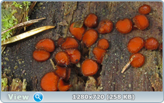 0_e6bc9_f75aef0_orig.png