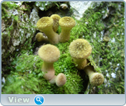0_130bdd_d735d32_orig.png
