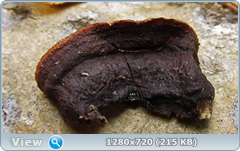 0_f6dc4_678bb672_orig.png