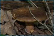 0_d0cb0_9e0a2641_orig.jpg