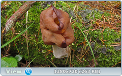 0_ead60_2e06a361_orig.png