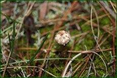 0_c711d_31e870a3_orig.jpg