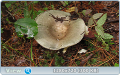 0_fbb3a_c6d0e80a_orig.png