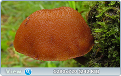 0_ead7c_695ead68_orig.png
