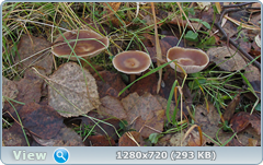 0_fc765_8d1fec03_orig.png