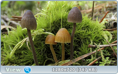 0_e9582_9dffdffd_orig.png
