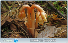 0_e9b39_3c26e0d1_orig.png