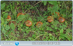0_eaa9a_c8c90aa5_orig.png