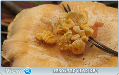 0_ead0c_bf28d356_orig.png