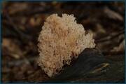 0_d2378_5141d02f_orig.jpg